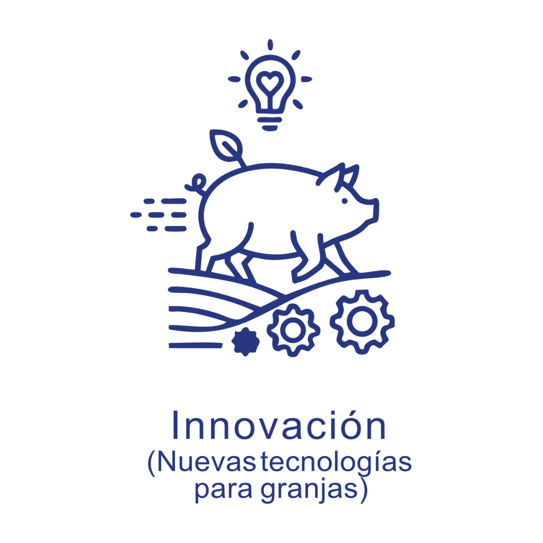 Innovación