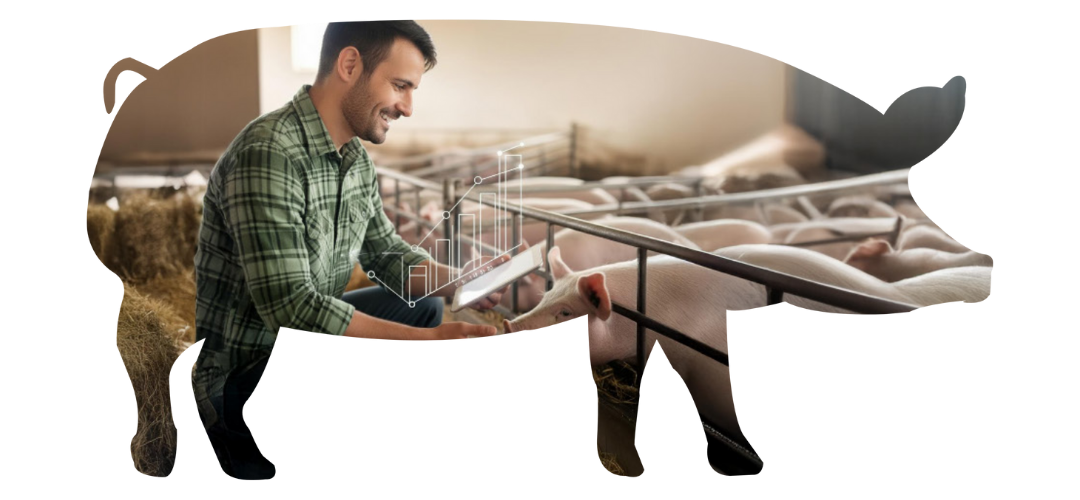 Experiencia Inmersiva