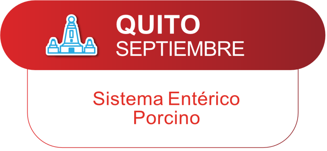 Quito Septiembre